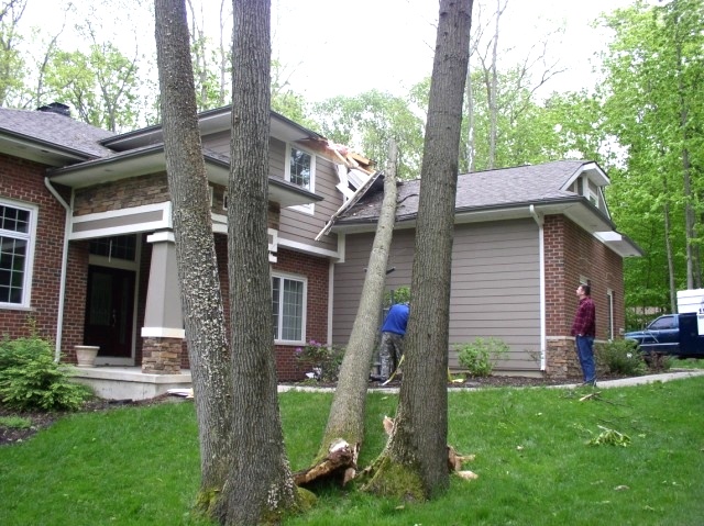 Tree on House Tree Jack 