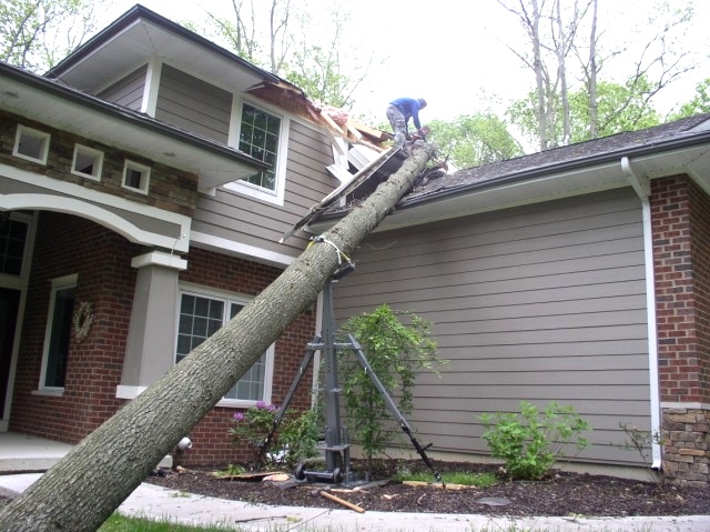 Removal Begins Tree Jack 