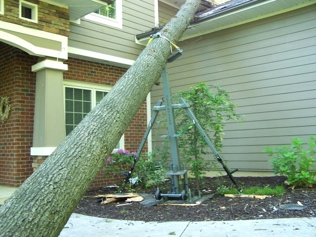 Removal Begins Tree Jack 