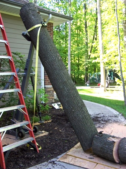 Remaining Log is Removed from the TreeHugger and Cut Tree Jack 