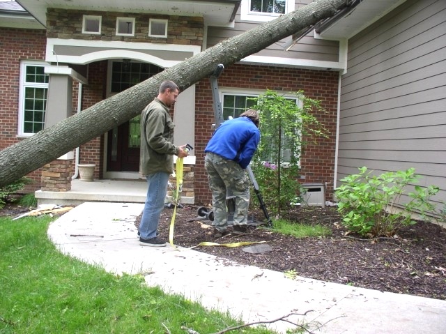 Tree Hugger Tutorial |  Portable Tree Jack In Action Tree Jack 