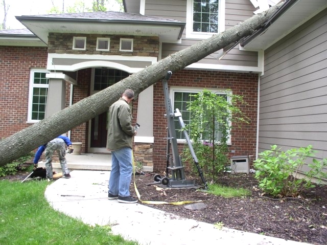 Tree Hugger Tutorial |  Portable Tree Jack In Action Tree Jack 