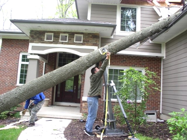 Securing the TreeHugger to Tree Tree Jack 