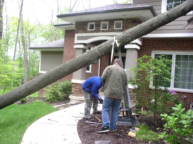 Tree Hugger Tutorial |  Portable Tree Jack In Action Tree Jack 