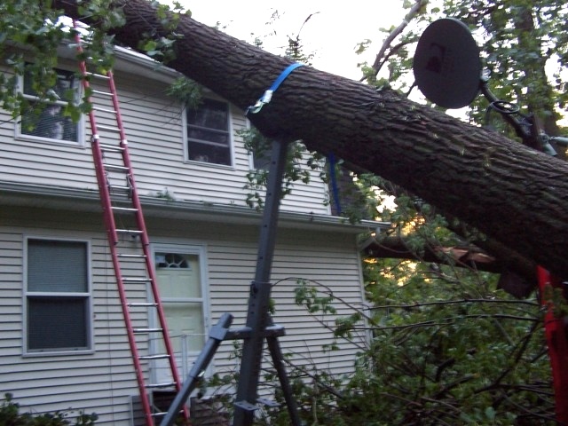 TreeHugger Extended Tree Jack 