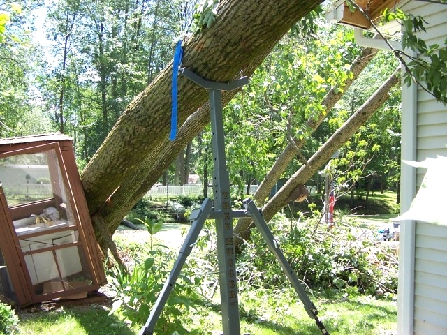 Portable Tree Jack | Tree Hugger Tree Jack 